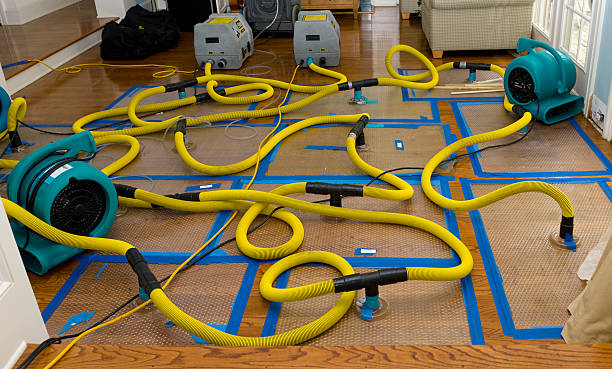 Professional Structural Drying And Dehumidification technician working in Purcell, OK